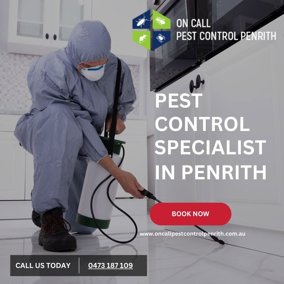 Pest Control Specialists in Penrith